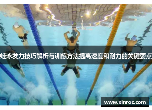 蛙泳发力技巧解析与训练方法提高速度和耐力的关键要点